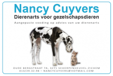 Dierenarts Nancy Cuyvers - Scherpenheuvel-Zichem