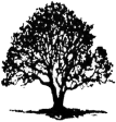 Boomverzorging Foresta