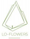 Lo-Flowers - Bloemenzaak Moorslede
