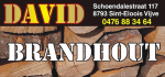Brandhout David