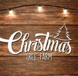 Christmas Tree Farm - Kerstdennen Sint-Truiden