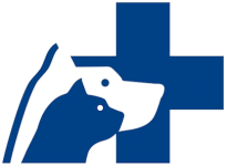 Dierenarts Devalez Johan - Acupunctuur hond Gent