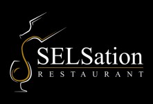 Logo SELSation - Hemiksem