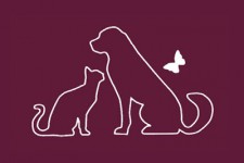 Logo KMDA huisdierencrematorium - Boom