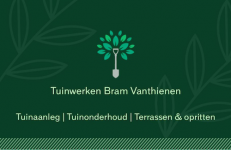 Tuinwerken Bram Vanthienen - Tuinonderhoud Deinze