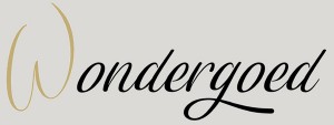 Logo Wondergoed - Oud-Turnhout