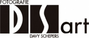 Logo DS art - Ieper