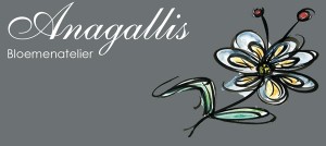 Logo Anagallis - Retie