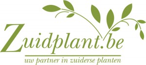 Logo Zuidplant.be - Tielt