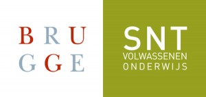 Logo SNT Volwassenenonderwijs - Brugge