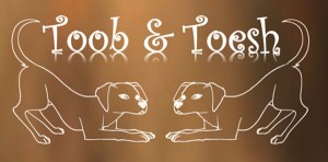 Logo Toob & Toesh - Wachtebeke