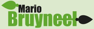 Logo Mario Bruyneel - Otegem