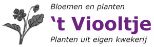 Logo 't Viooltje - Brielen