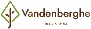 Logo Vandenberghe trees & more - Snaaskerke
