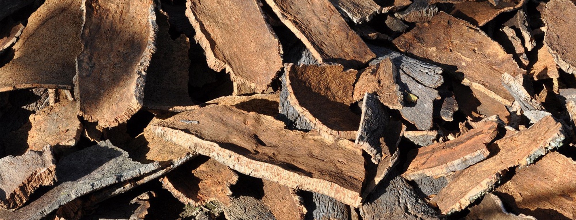 Header Tuinaanleg Joeri Aerts - Boomschors Lummen