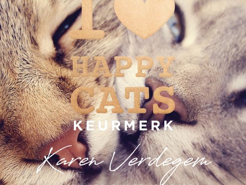 I love happy cats Keurmerk