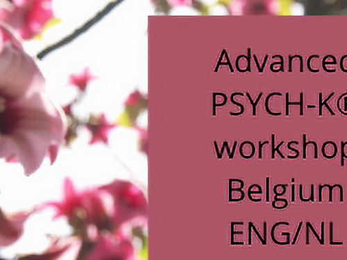 ENG/FR Advanced Workshop PSYCH-K®