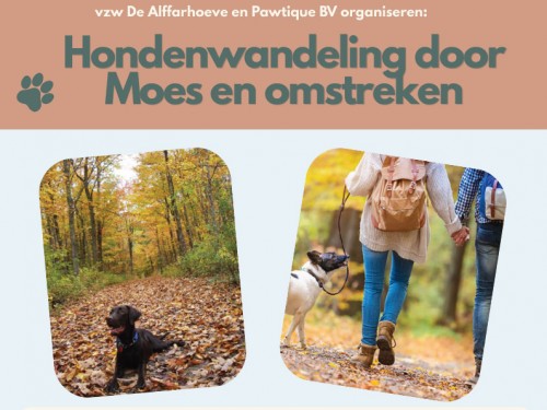 Eerste hondenwandeling in Moerzeke op 29/11/2026