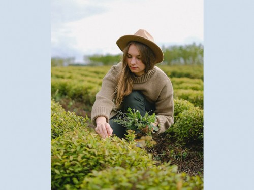 4 Tips voor het goed onderhouden van jouw tuin!