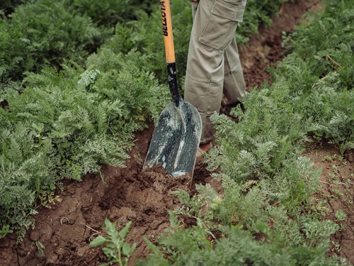 Tuin onder handen nemen? Kies het juiste gereedschap!