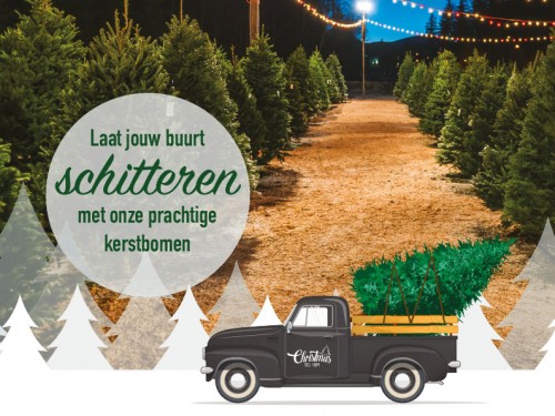 Laat jou buurt schitteren met onze prachtige kerstbomen