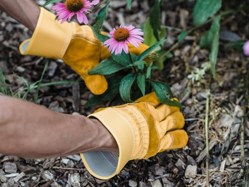 Een stijlvolle tuinupgrade zonder grote verbouwing? Zo pak je dat aan!
