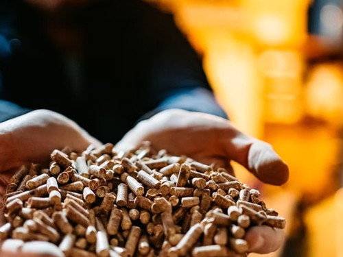 Welke pellets zijn de beste? Zo kiest u de juiste houtpellets