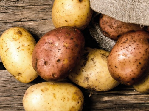 Patattendag - Alles over zelf aardappelen telen