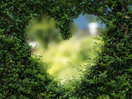 Liefde in je tuin