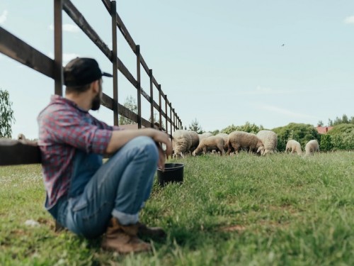 Personeel werven binnen de agrarische sector: 3 tips