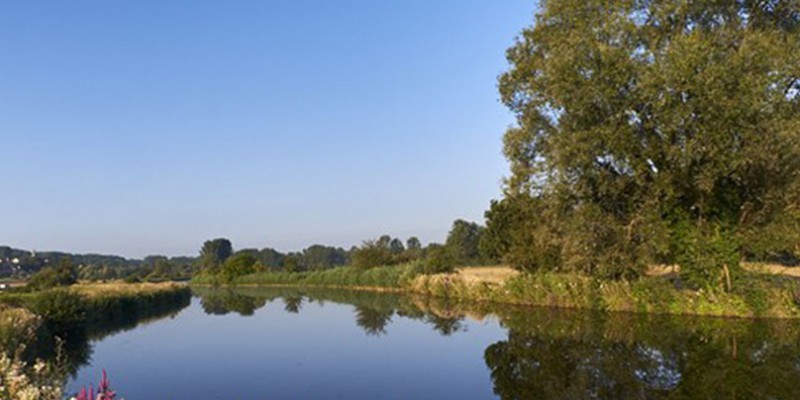 Dag van de stilte
