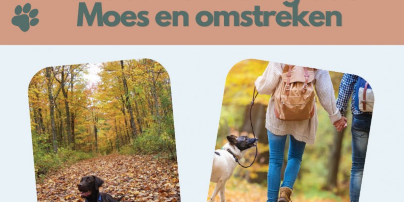 Eerste hondenwandeling in Moerzeke op 29/11/2026
