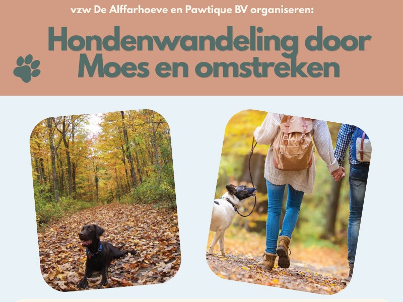 Eerste hondenwandeling in Moerzeke op 29/11/2026