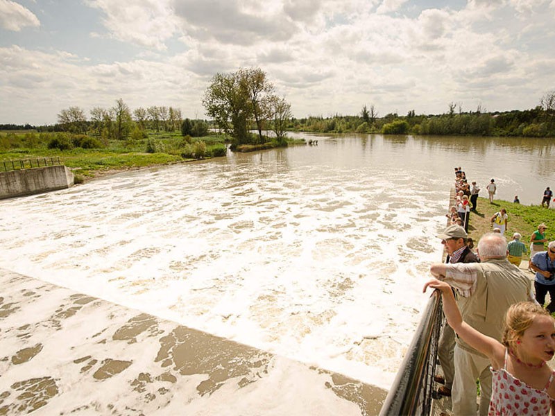 Ontdek de polders van Kruibeke