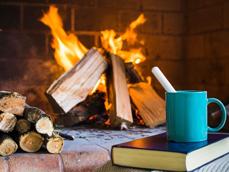 Top 5 houtbrandstoffen voor efficiënte en langdurige warmte deze winter