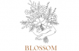 Blossom by Sarah De Groote