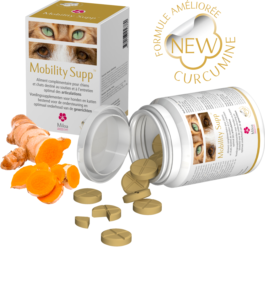 MOBILITY SUPP 60CO