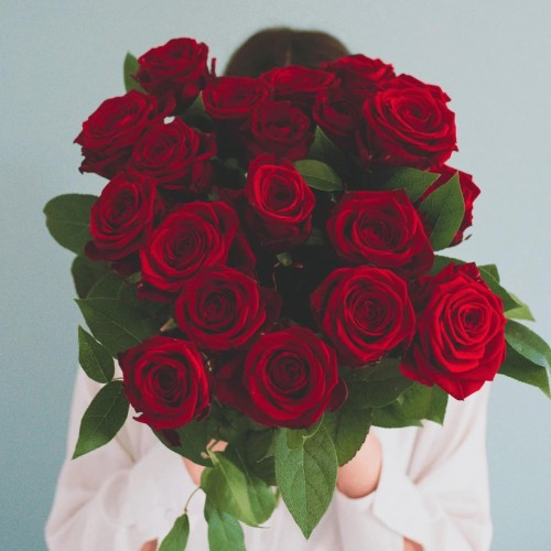 Red Roses