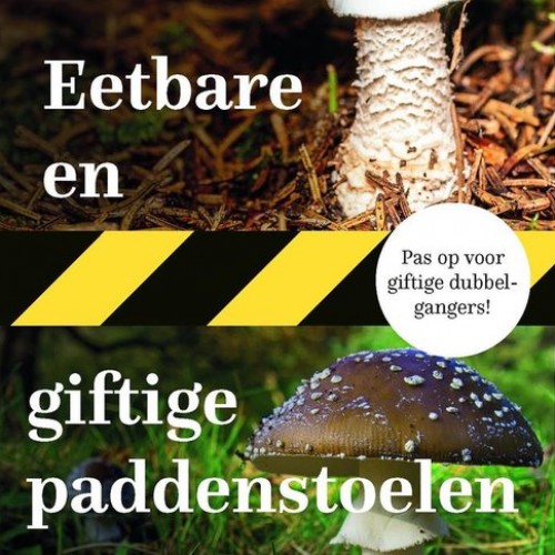 Eetbare en giftige paddenstoelen