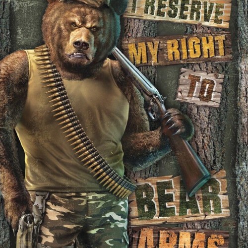 Right to Bear Arms