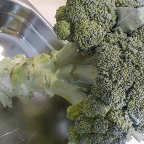 broccoli