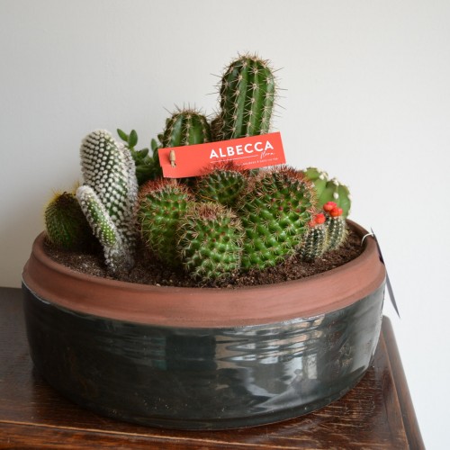 Assort. cactussen in handgemaaktepot Ø35