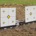 Grond Target vierkant 25cm