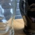 Hoofden in glas