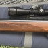 Walther Classus in kaliber .177 (4,5 mm)