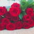 Red Roses
