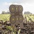 Multi-Target