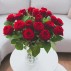 Red Roses
